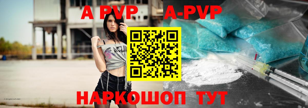 A PVP СК КРИС Советск