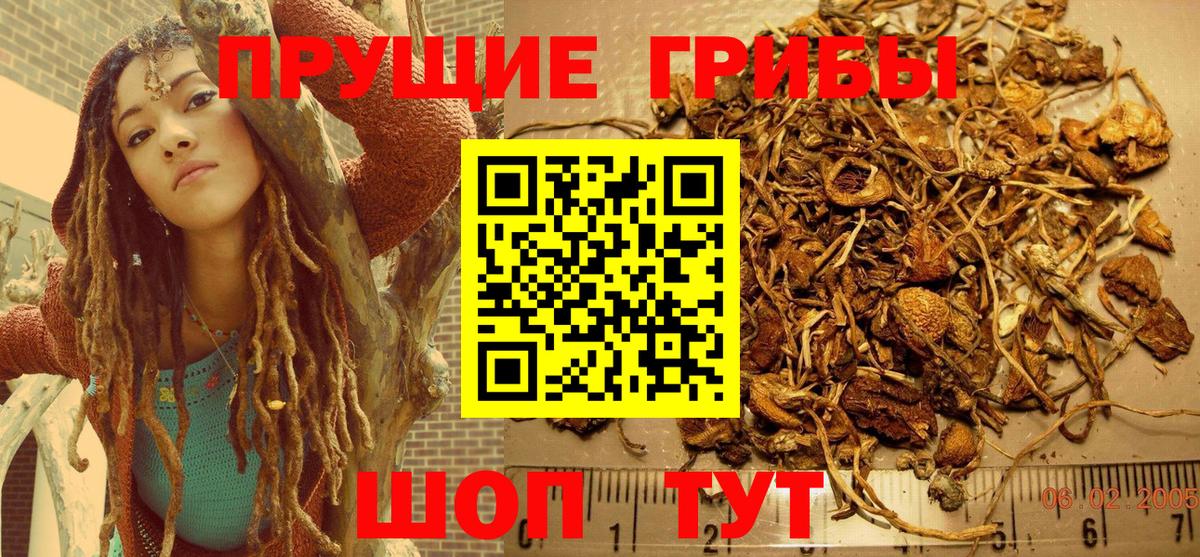 Галлюциногенные грибы Psilocybe  Вход с VPN  наркотики  Советск 